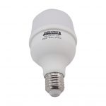 Світлодіодна лампа LED Bulb-T80-20W-E27-220V-4000K-2100L GOLDEN TNSy