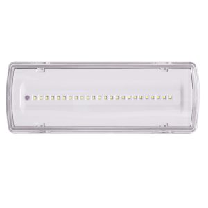 Світильник евакуаційний UJ01-24LED-2W-6500K-3H-200L-IP65 TNSy